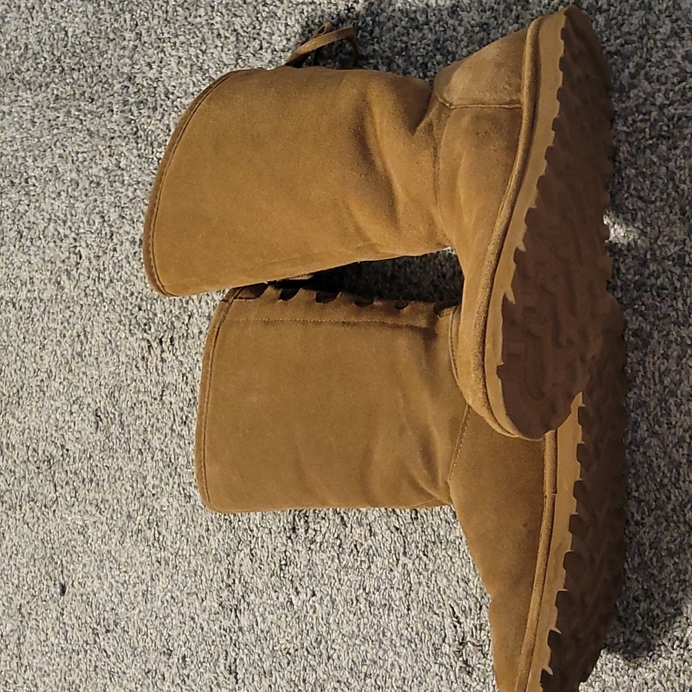 Bearpaw
